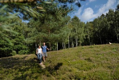 Darstellung Wanderwege im Binnenland Schleswig Holstein