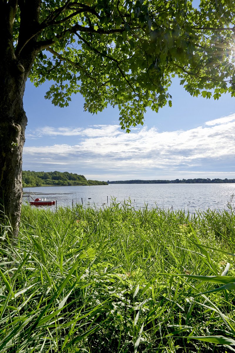 Blick auf den Enfelder See 