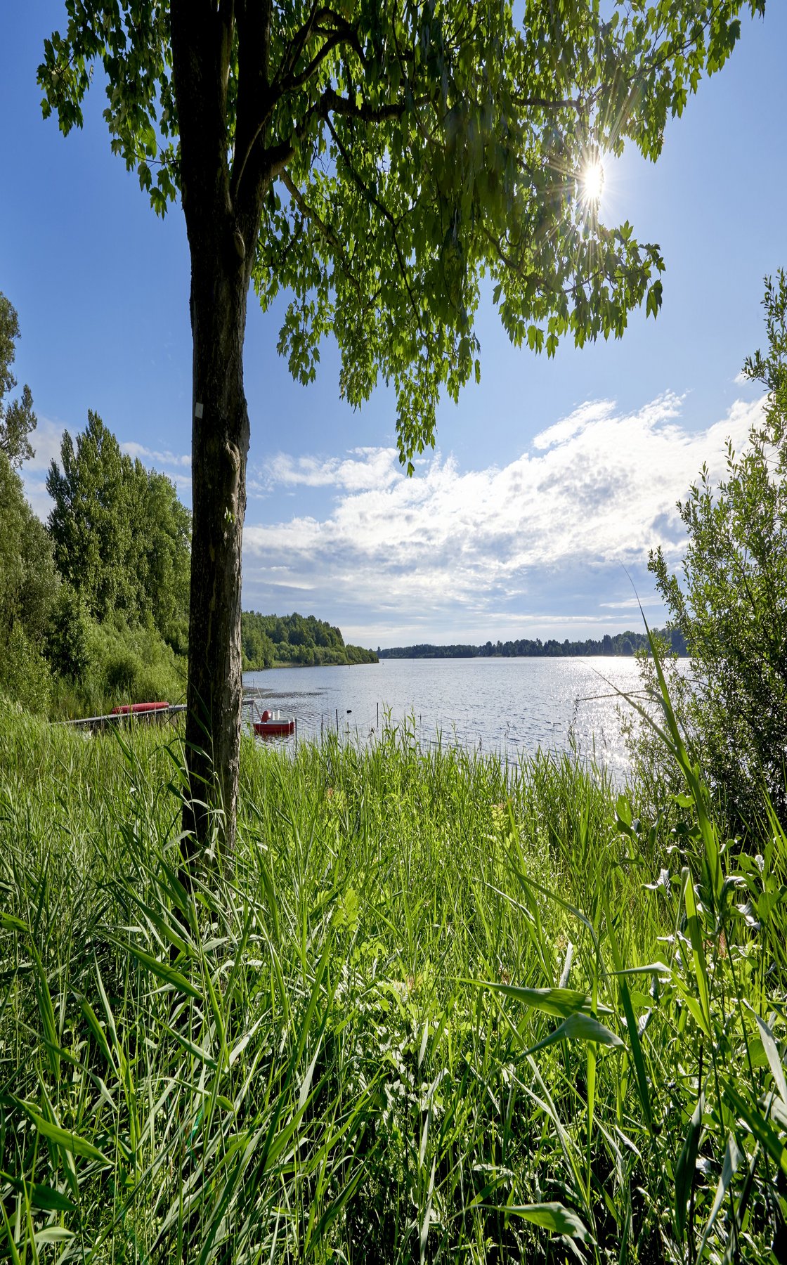 Blick auf den Enfelder See 