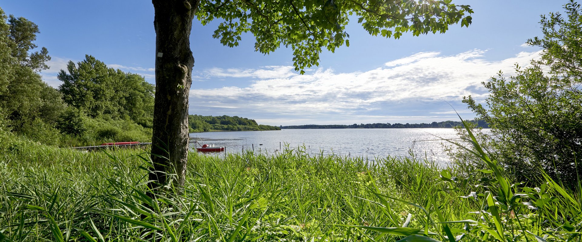 Blick auf den Enfelder See 